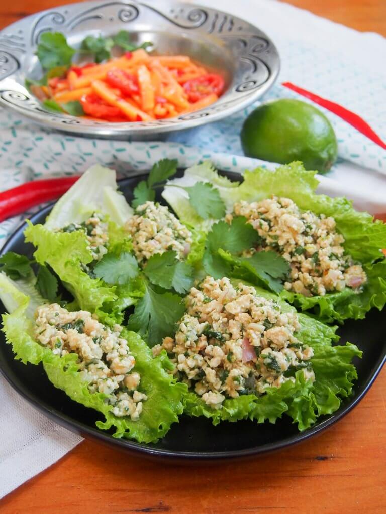 Larp (larb gai, Thai/Laos chicken salad) Caroline's Cooking