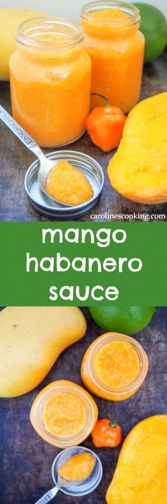 Mango habanero sauce gives a wonderful sweet-spicy kick to tacos and more. Really easy to make, and surprisingly healthy, it'll be a go-to hot sauce.