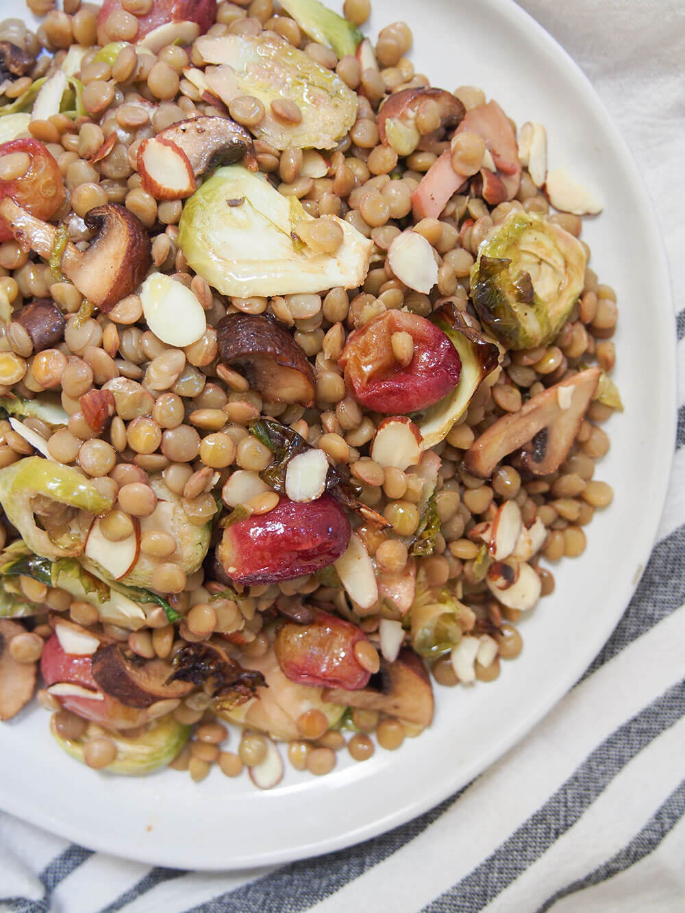vegan lentil salad with roasted Brussels sprouts, grapes and mushroom viewed from overhead