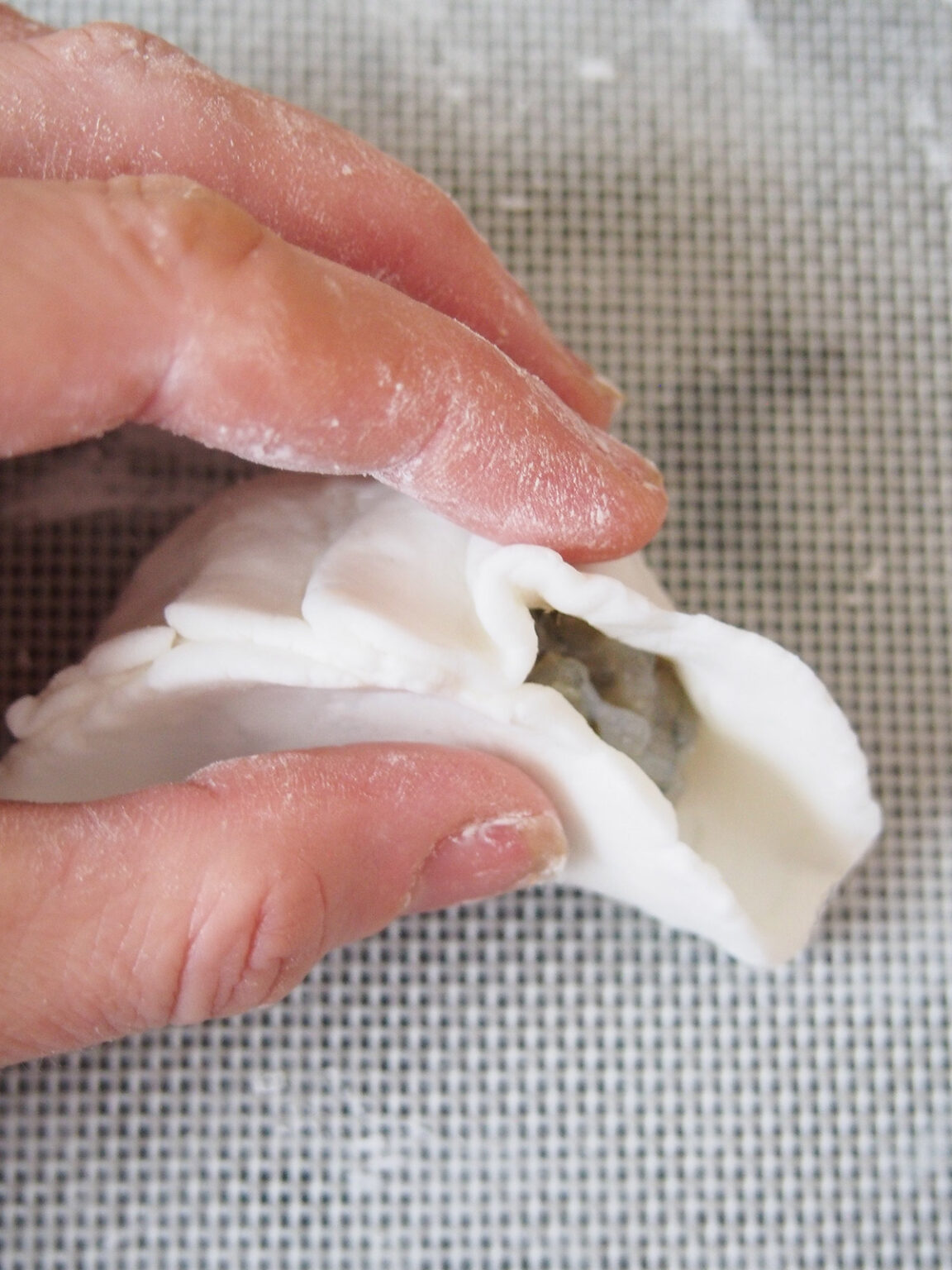 Har gow (crystal shrimp dumplings) - Caroline's Cooking