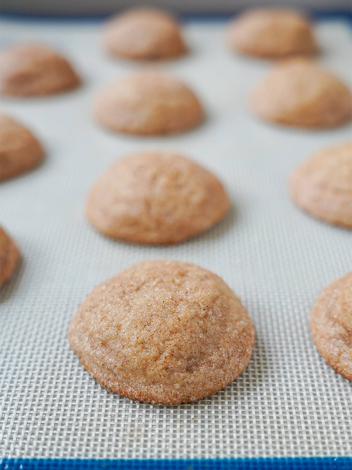 baked apple cider cookies before glaze. baked cookies on lined baking sheet just out oven.