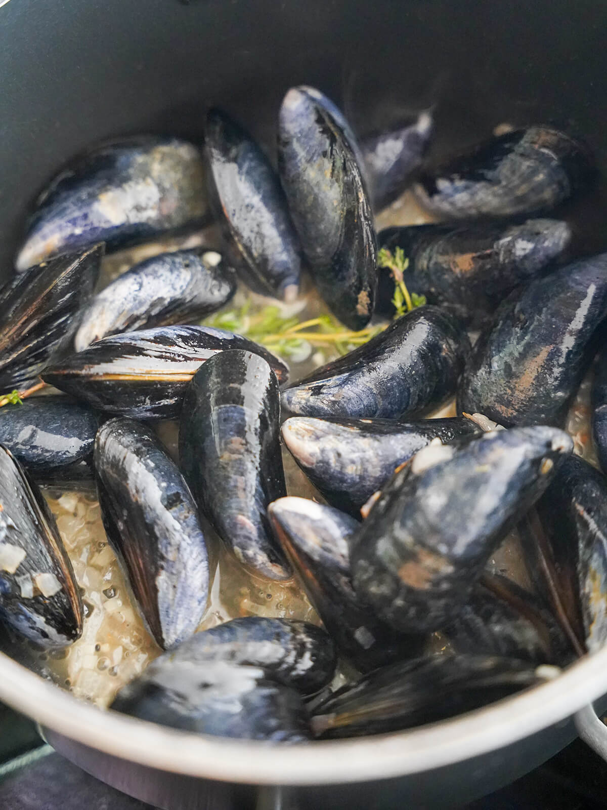 steaming mussels in pot with wine, shallots and sprigs of thyme.
