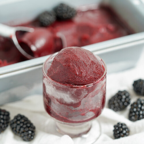 blackberry-sorbet-featured-pic