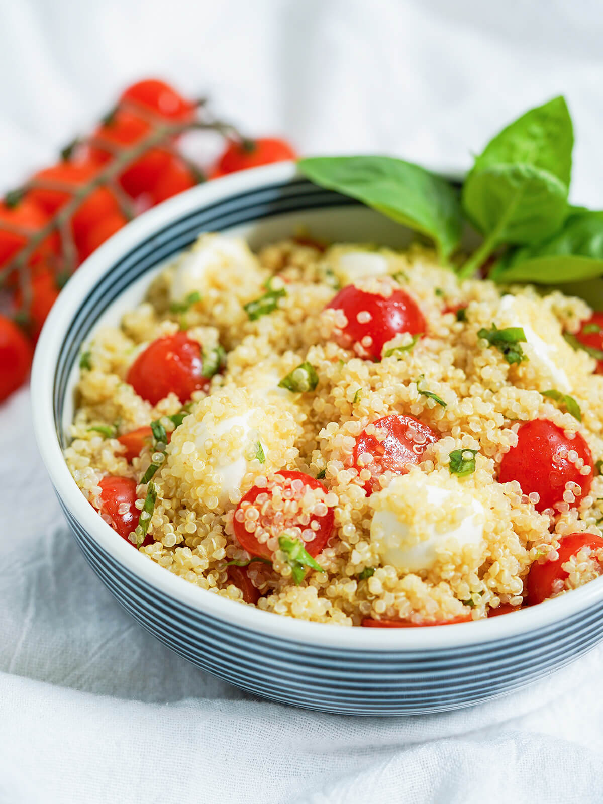 side part view of bowl of caprese quinoa salad with tomatoes on vine part in view behind.
