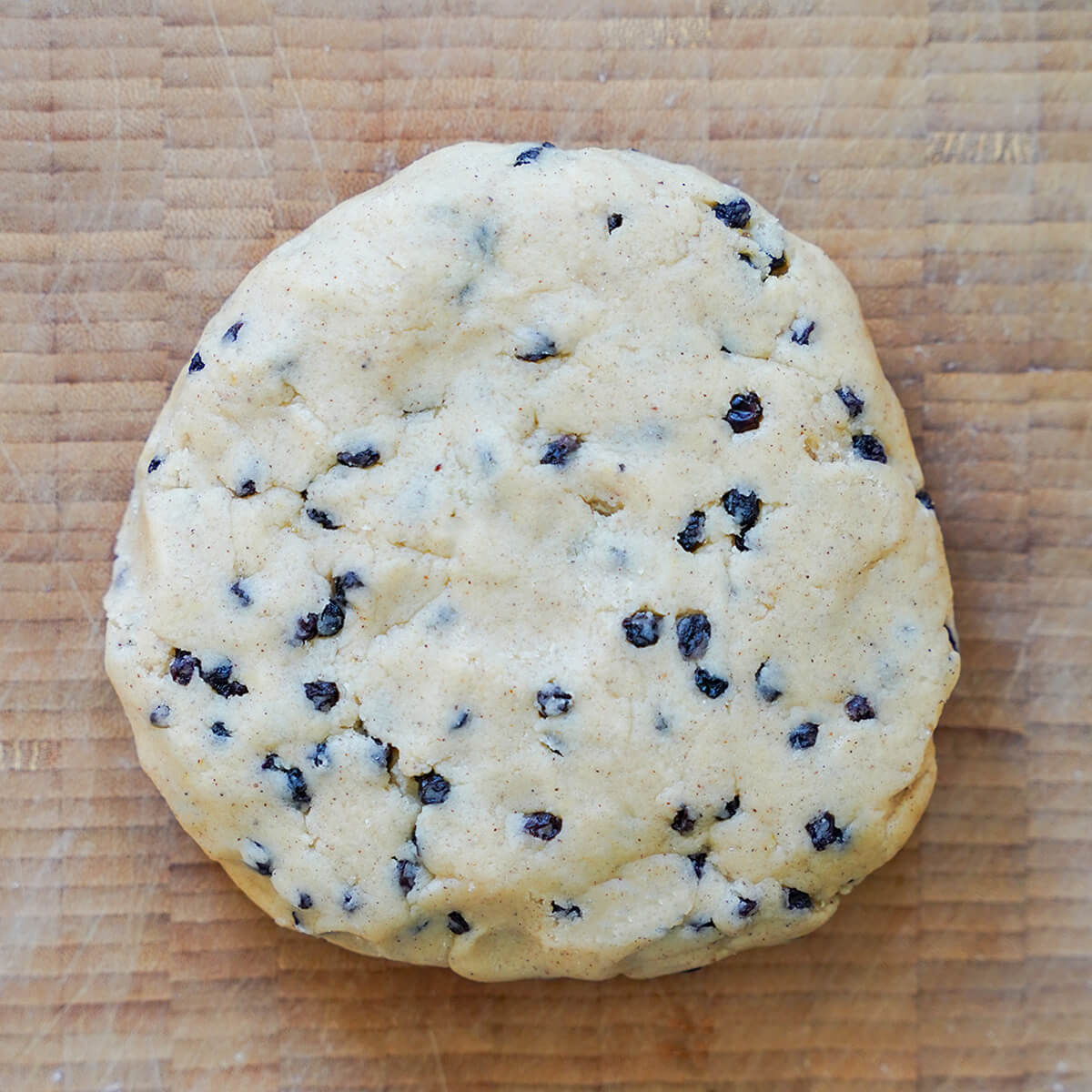flattened ball of currant-speckled dough on board.