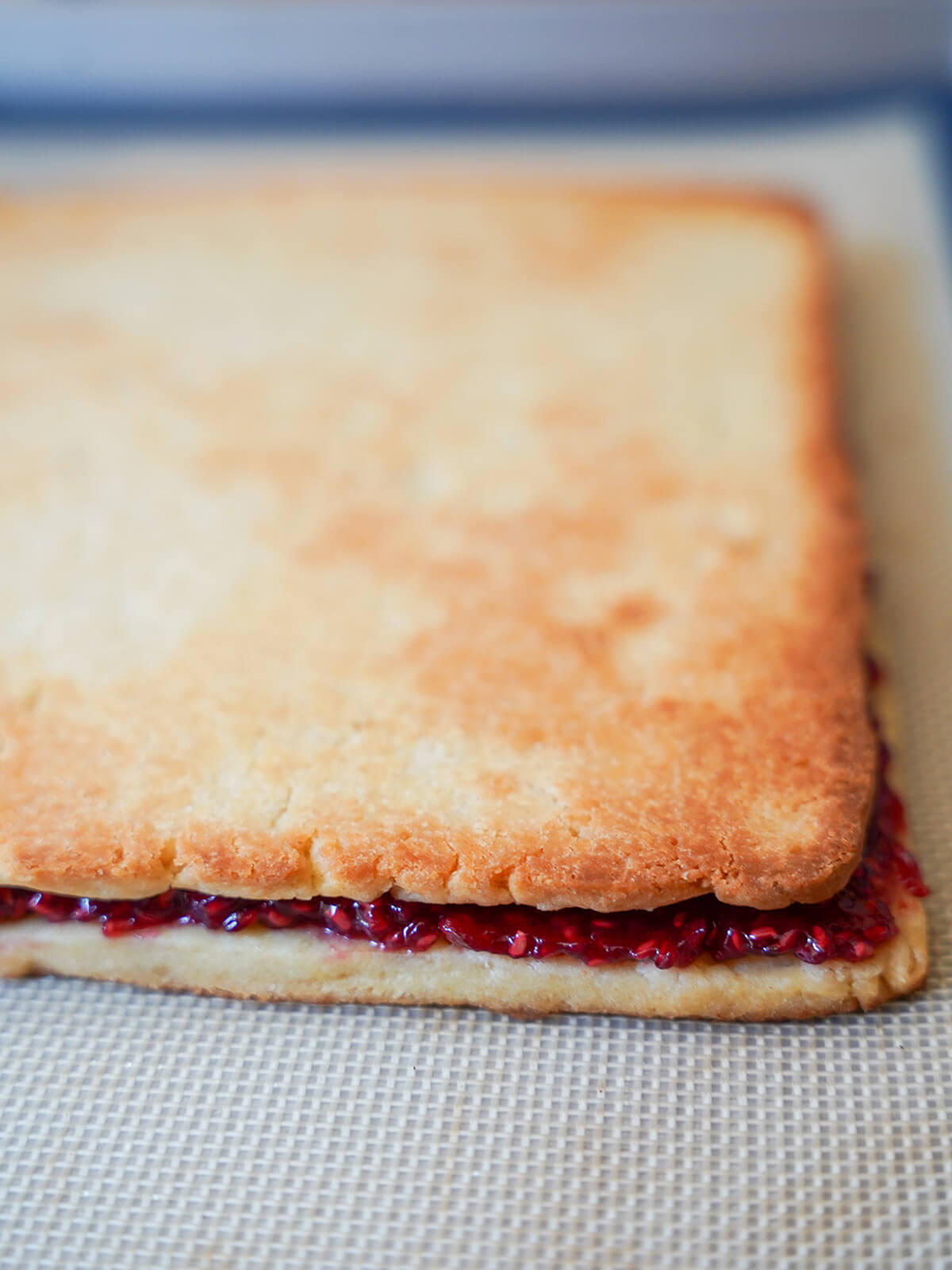 two pieces of cooked cookie with raspberry jam in between.
