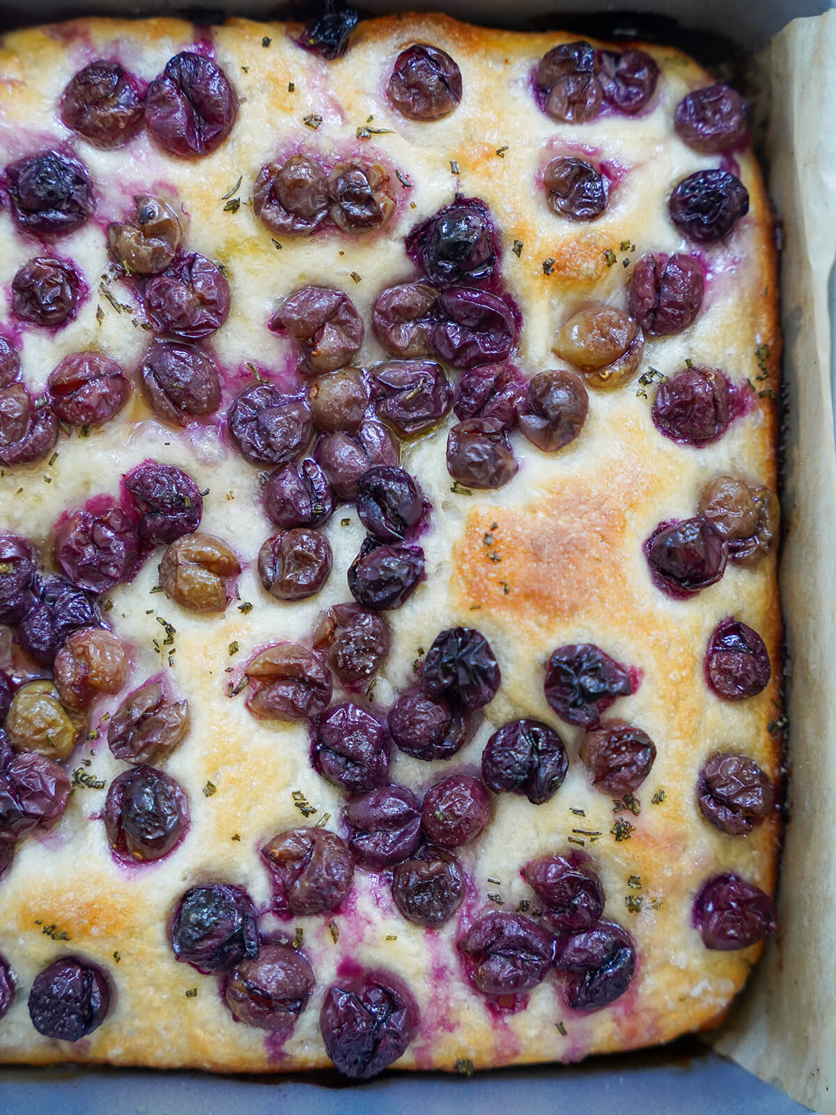 whole schiacciata all&rsquo;uva grape focaccia in baking pan.