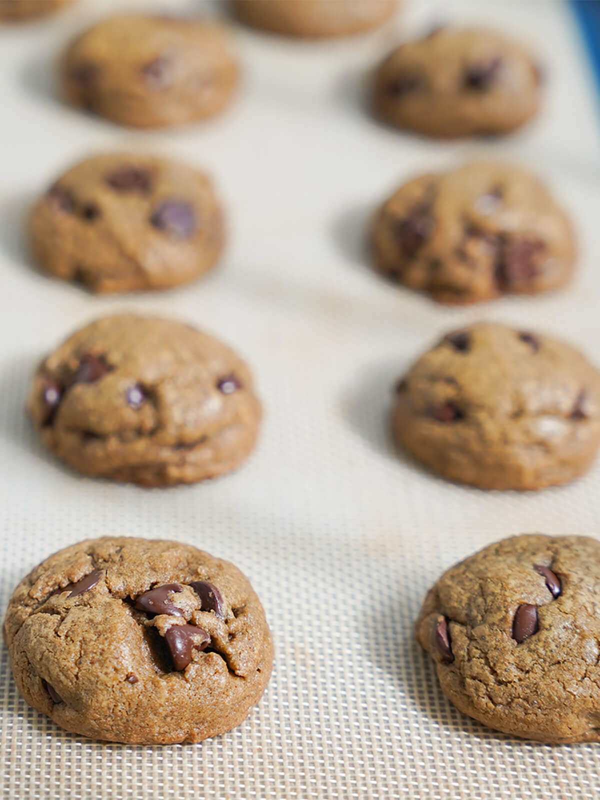 hojicha chocolate chip cookies hojicha chocolate chip cookies on baking sheet just out oven.