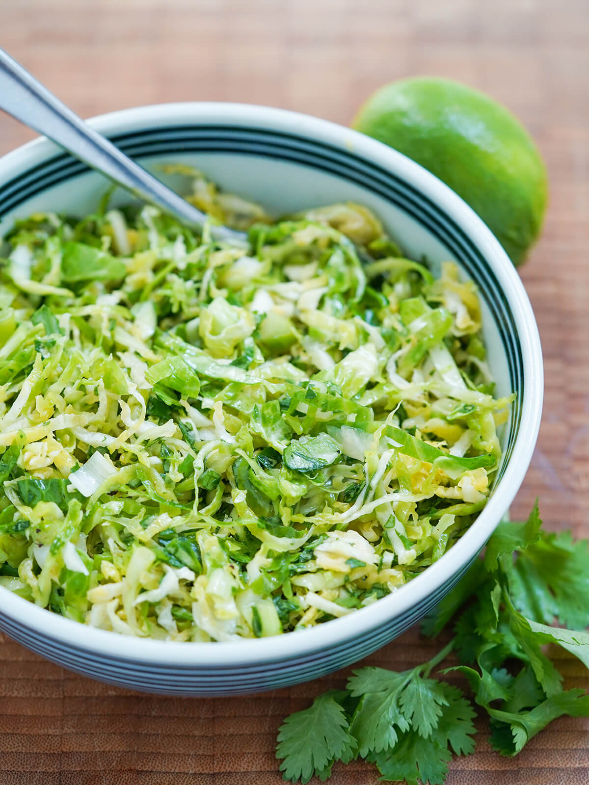 side view of most of bowl of Brussels sprouts slaw.