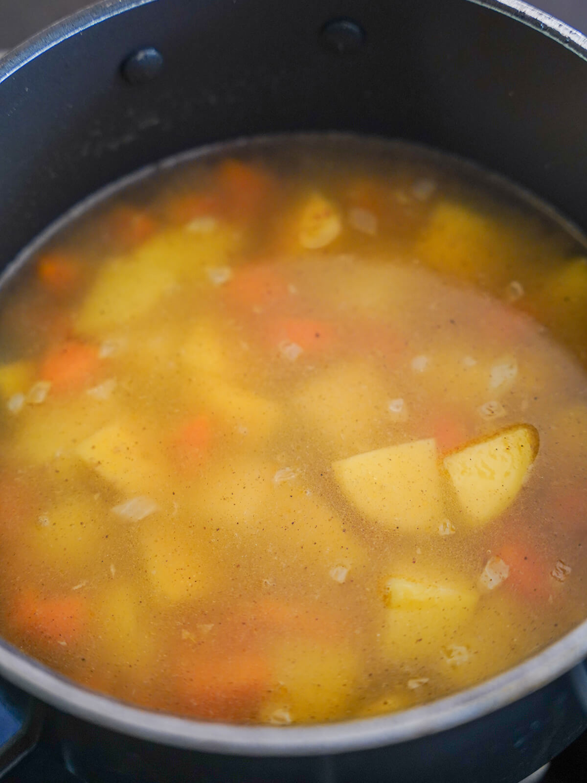 pieces of potato and carrot under liquid base for soup.